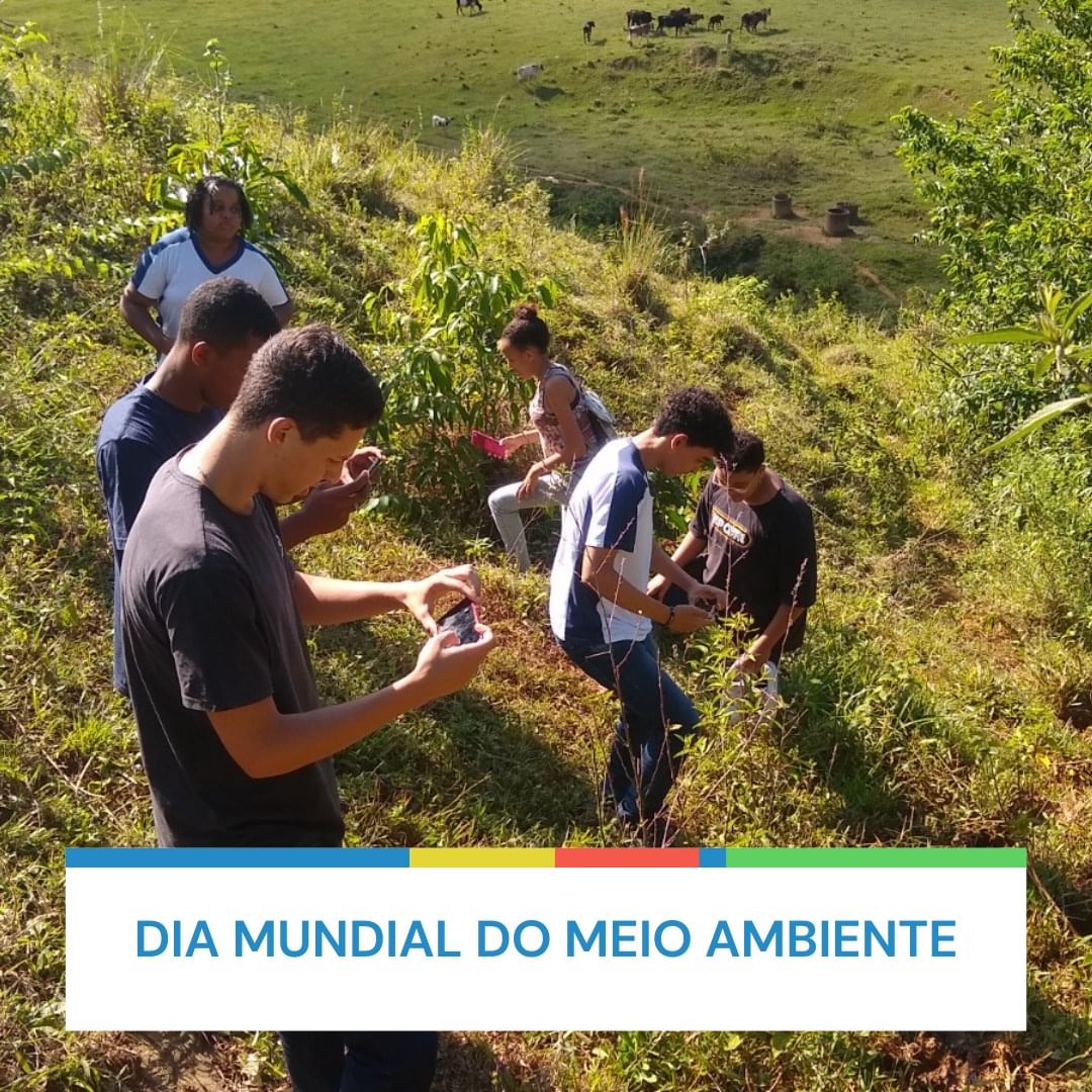 Dia Mundial do Meio Ambiente 