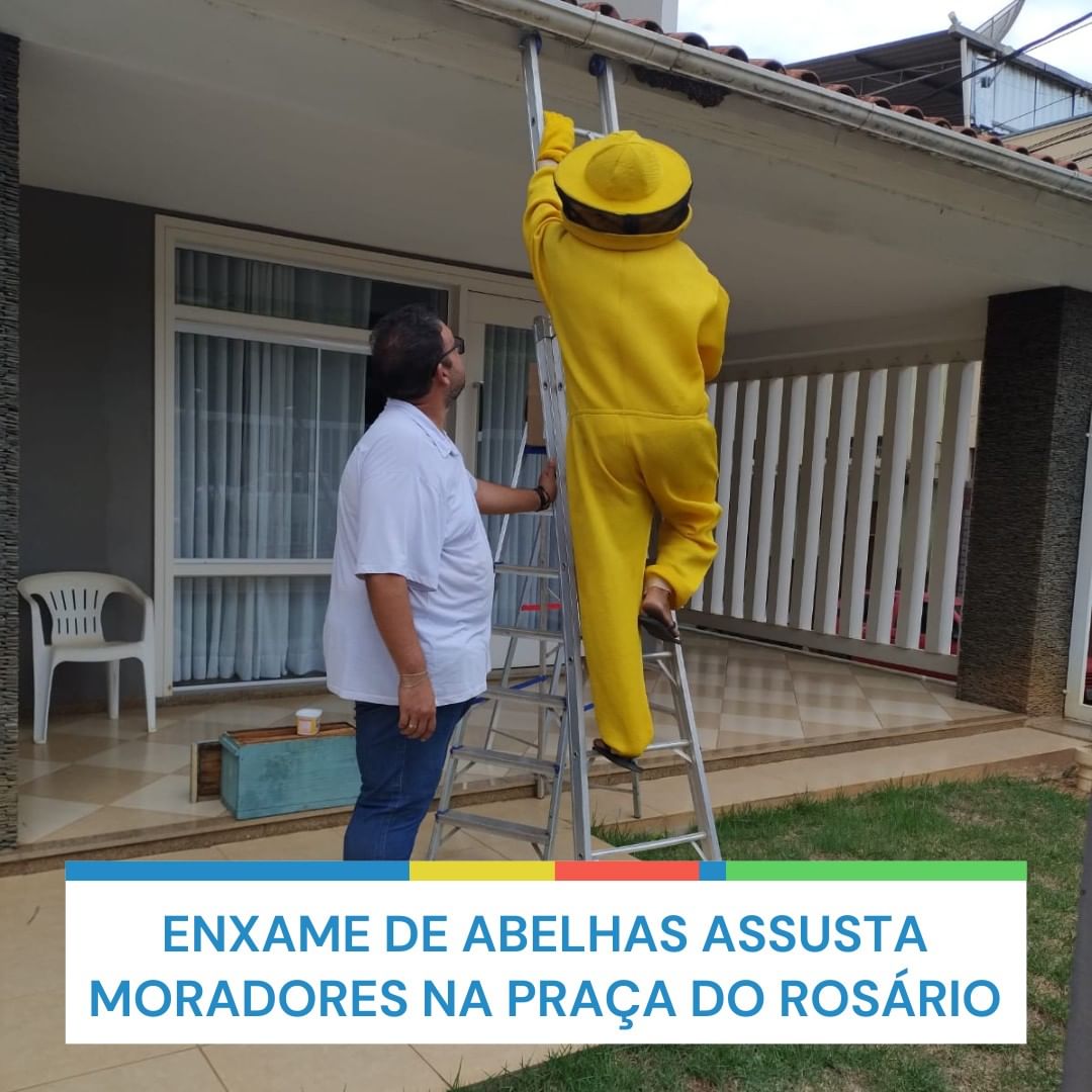 Enxame de abelhas assusta moradores na Praça do Rosário