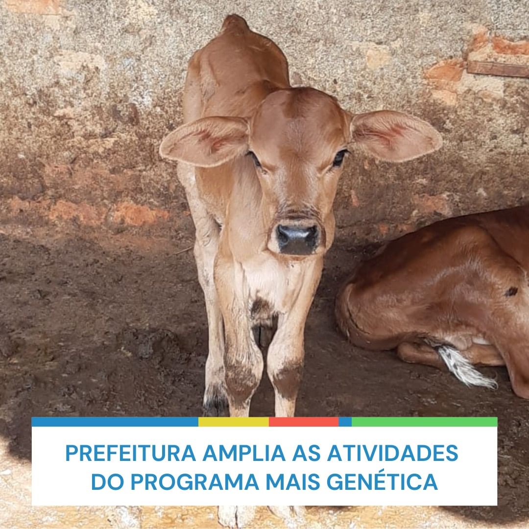 Prefeitura amplia as atividades do Programa Mais Genética